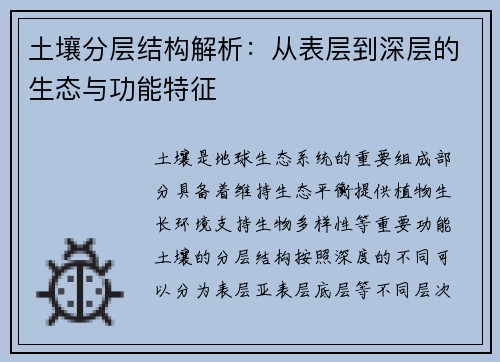 土壤分层结构解析：从表层到深层的生态与功能特征